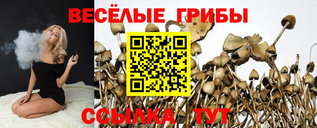Галлюциногенные грибы GOLDEN TEACHER  Вход с VPN  Туймазы 